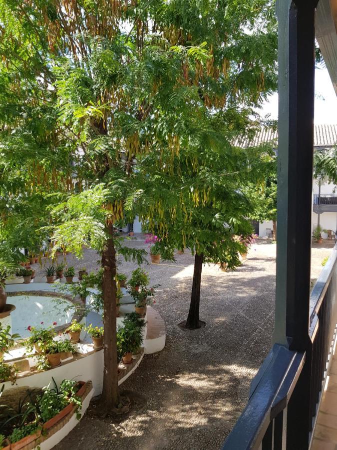 Patio Andaluz Siglo XVI Apartment Seville Exterior photo